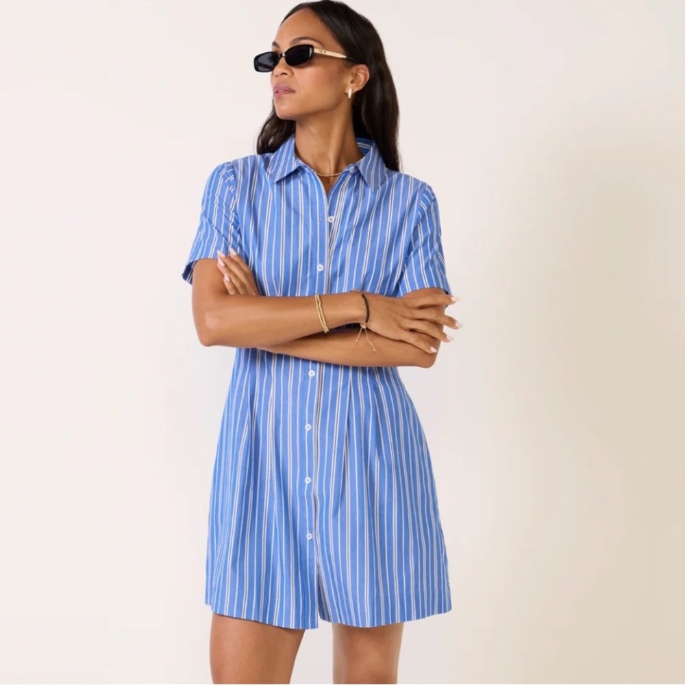 Evereve Blue and White Vertical Stripe Shirt Delaney Dress